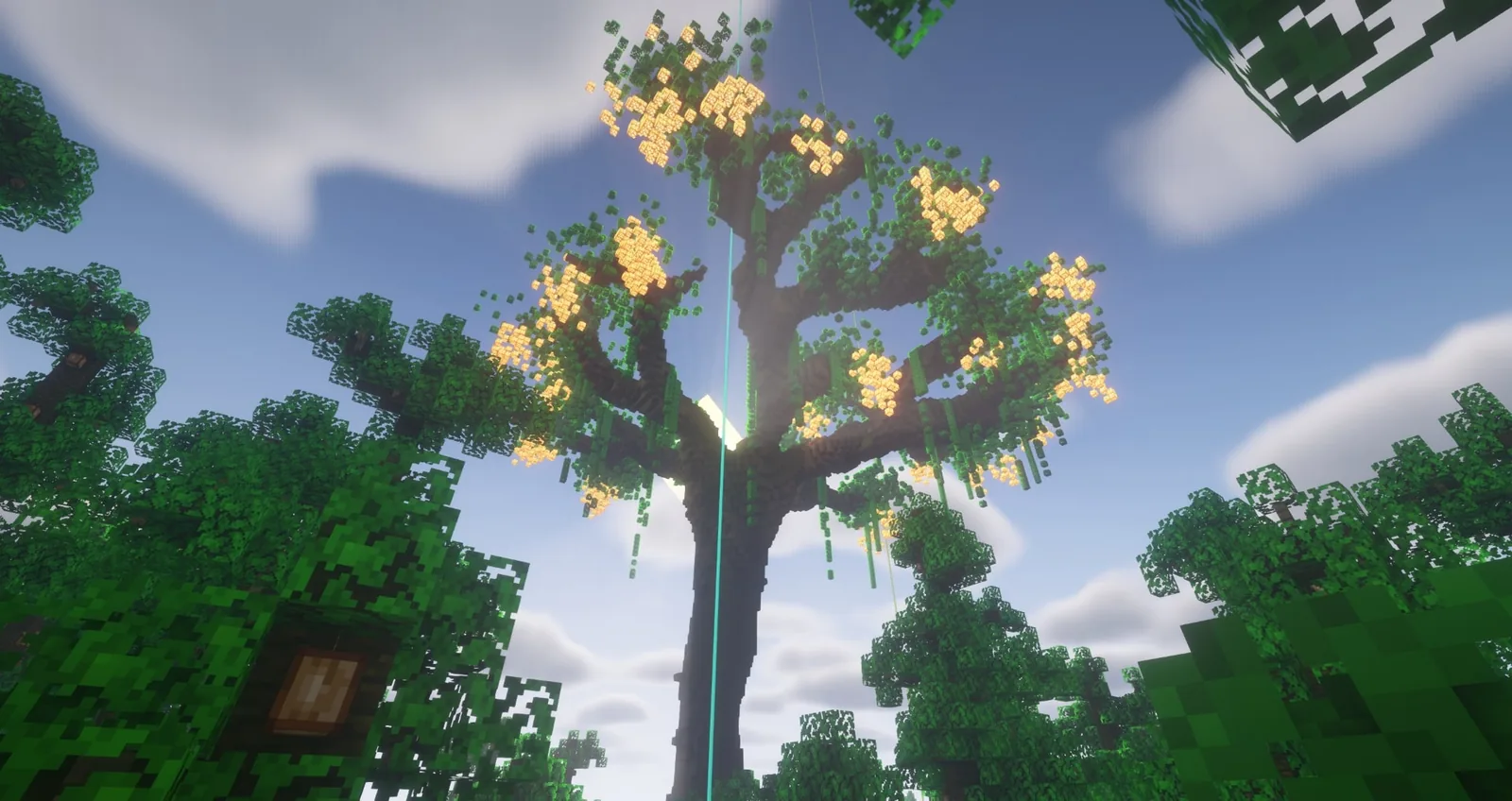 Ocean Oak Tree