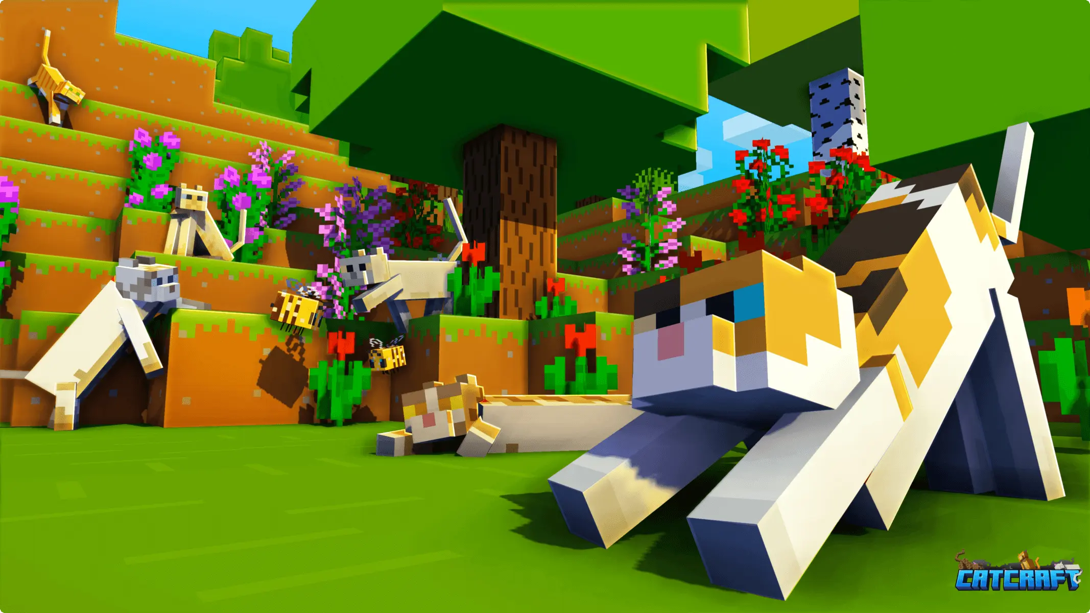 CatCraft cats
